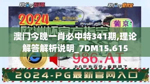 澳门今晚一肖必中特341期,理论解答解析说明_7DM15.615
