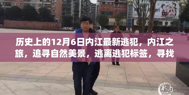 内江逃犯追踪与追寻自然美景的双重探索，逃离标签，寻找内心平静之旅