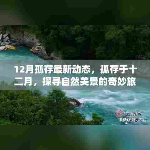 孤存探寻自然美景之旅,十二月启程,寻找内心的宁静与平和