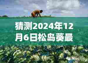松岛葵心灵之旅,揭秘2024年12月6日奇遇与心灵交融的自然美景
