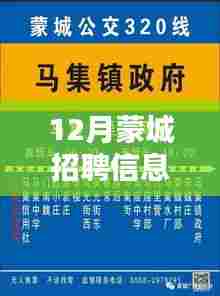 蒙城最新招聘信息汇总,深度测评与全面介绍