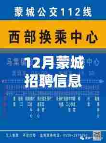 蒙城最新招聘信息汇总,深度测评与全面介绍