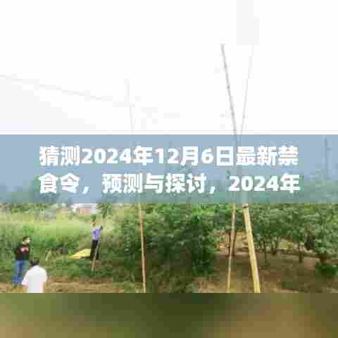 2024年最新禁食令预测与探讨，潜在影响及观点分析