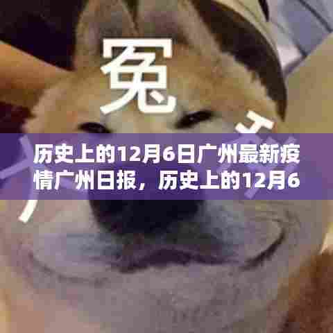 历史上的12月6日广州疫情状况，广州日报的详细报道与评测