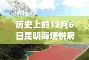 昆明海埂悦府探秘,小巷风情揭秘与最新消息速递,12月6日独家报道