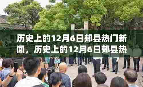历史上的12月6日郏县新闻深度解析与观点阐述