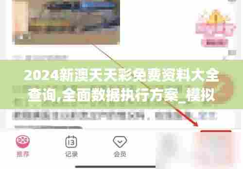 2024新澳天天彩免费资料大全查询,全面数据执行方案_模拟版6.240