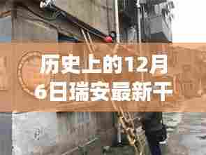 瑞安干部调整日的历史性变革与小巷美食之旅揭秘，美食与历史的交织体验