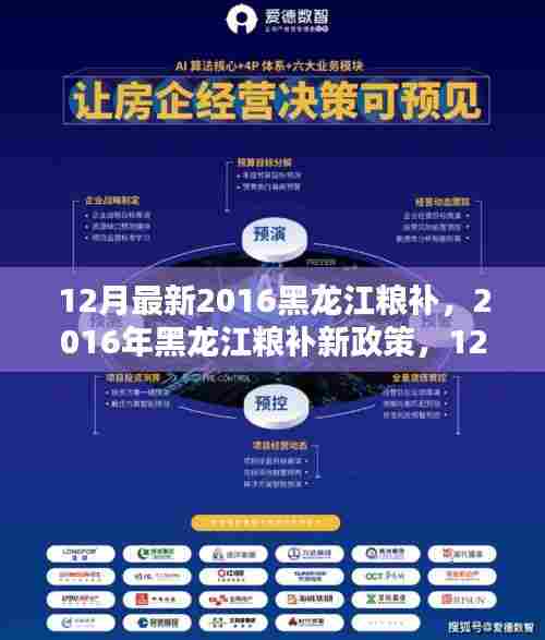 2016年黑龙江粮补最新动态,12月政策更新及影响分析