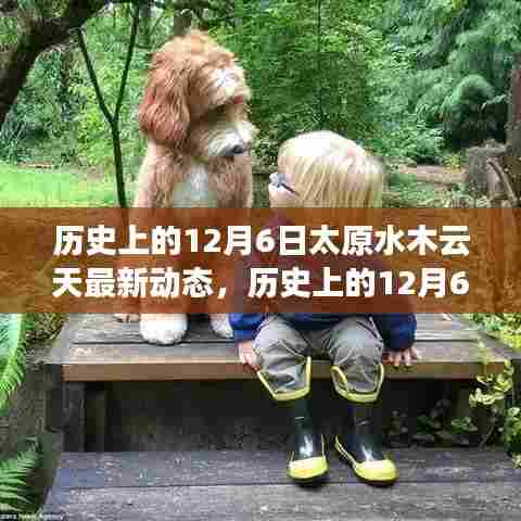 还淳返朴 第5页