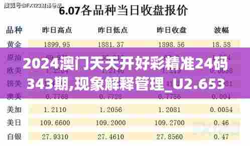 2024澳门天天开好彩精准24码343期,现象解释管理_U2.653