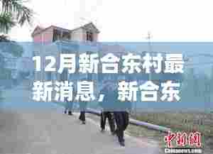 新合东村十二月最新消息深度解读