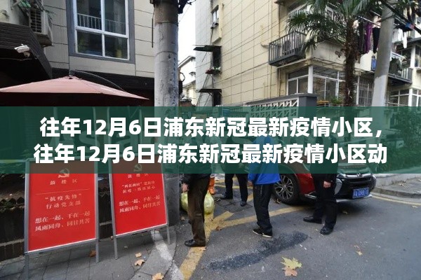 往年12月浦东新冠最新疫情小区动态,深度解析防控措施与现状影响