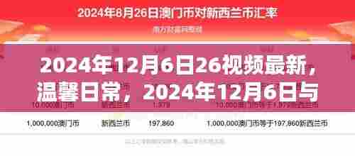 温馨日常，与26视频共度奇妙时光