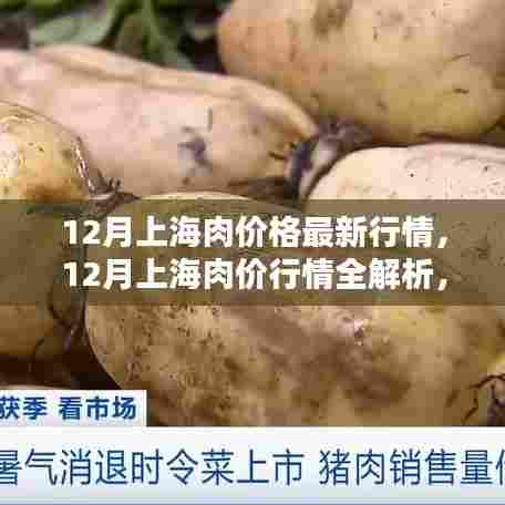 掌握最新行情,12月上海肉价全解析与指导