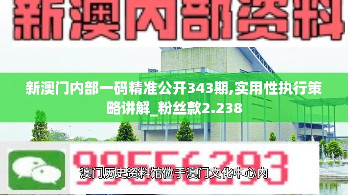 新澳门内部一码精准公开343期,实用性执行策略讲解_粉丝款2.238