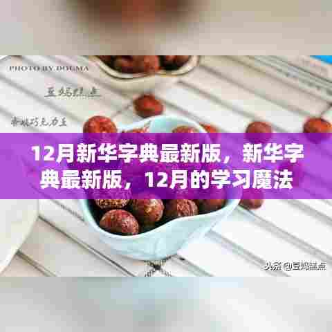 新华字典最新版，自信与成就感的源泉，12月学习魔法书