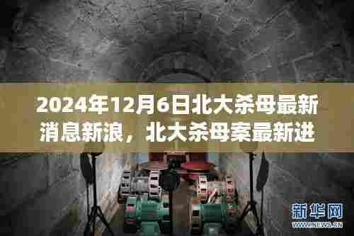 北大杀母案深度解析,最新进展、事件背景及其影响