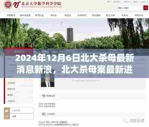 北大杀母案深度解析,最新进展、事件背景及其影响