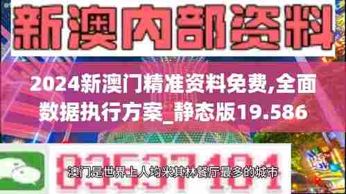 2024新澳门精准资料免费,全面数据执行方案_静态版19.586