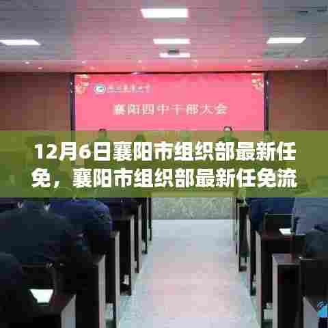 笨鸟先飞 第4页