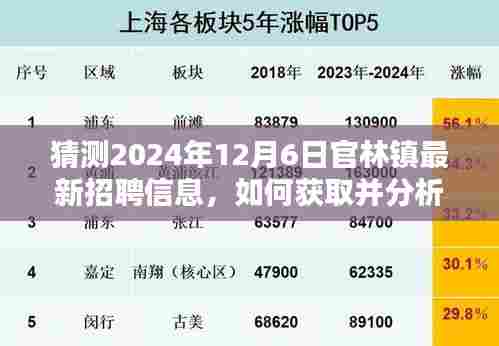 官林镇最新招聘动态解析与获取指南,2024年12月6日招聘信息预测及步骤指南(初学者与进阶用户适用)