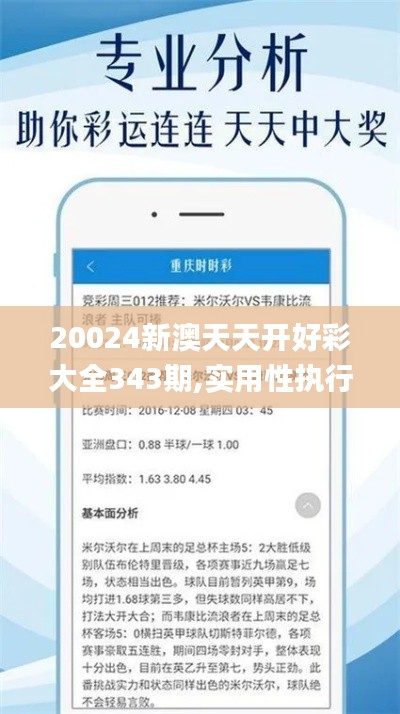 20024新澳天天开好彩大全343期,实用性执行策略讲解_手游版3.556