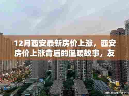 西安房价上涨背后的温情故事,友情、家园与共同未来