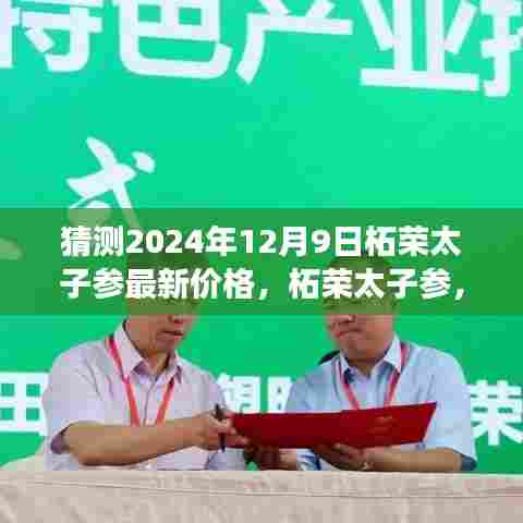 2024年柘荣太子参最新价格预测与展望