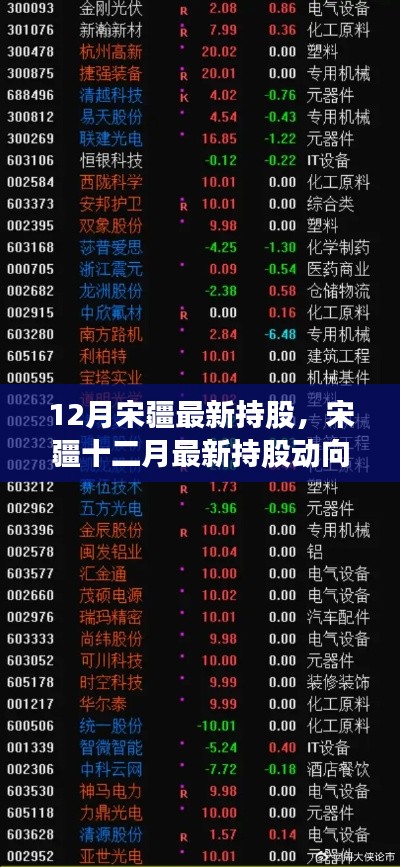 宋疆最新持股动向深度解析,观点与立场明确的观察报告