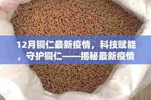 12月铜仁最新疫情,科技赋能,守护铜仁——揭秘最新疫情科技神器