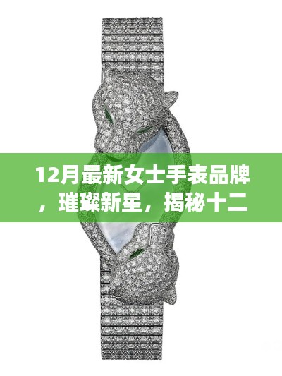 揭秘十二月最新女士手表品牌，璀璨新星背后的故事