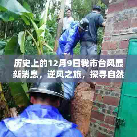 12月9日台风后的逆风之旅，探寻自然美景的心灵启程