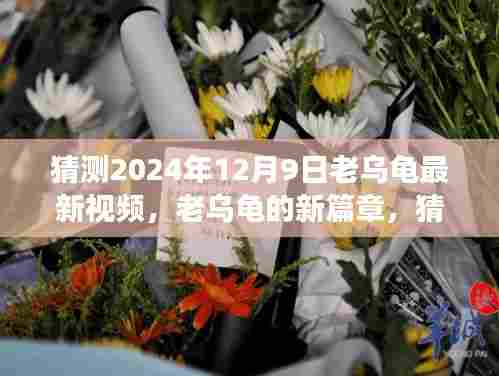 老乌龟新篇章揭秘,展望2024年12月9日最新视频及其深远影响