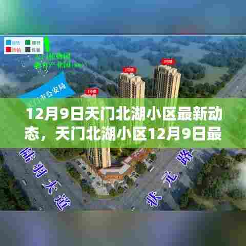 天门北湖小区12月9日最新动态揭秘，参与社区活动的任务指南