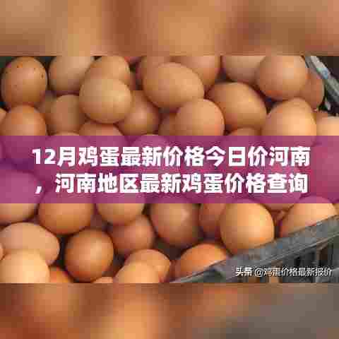 没张倒置 第5页