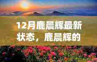 鹿晨辉的十二月奇迹之旅,与自然美景的不解之缘最新状态更新