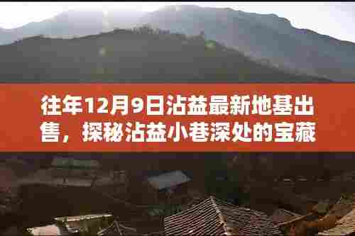 沾益宝藏揭秘,特色小店地基出售传奇,历年12月9日最新地基信息速递