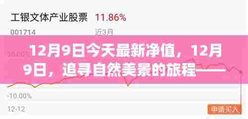 12月9日追寻自然美景之旅,今日净值惊喜,启程内心宁静之旅