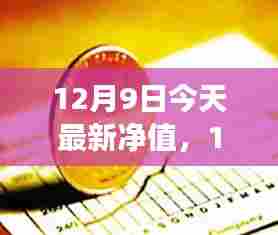 12月9日追寻自然美景之旅,今日净值惊喜,启程内心宁静之旅