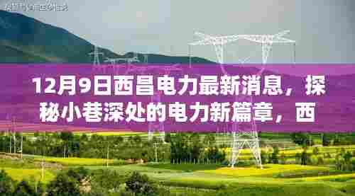 探秘西昌电力新篇章，小巷深处的特色小店揭秘