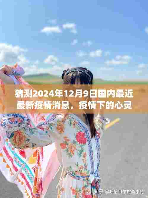 采椽不斫 第5页