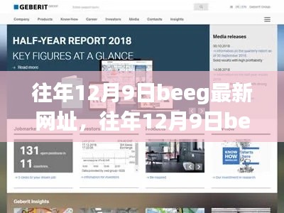 往年12月9日Beeg最新网址回顾与解析,揭秘最新网址动态及功能解析