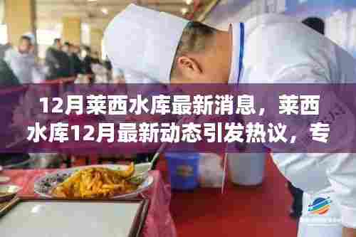 莱西水库12月动态更新,热议中的专家观点与个人立场分析