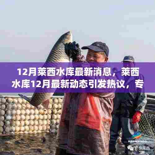 莱西水库12月动态更新,热议中的专家观点与个人立场分析