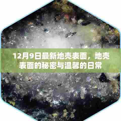 地壳表面最新揭秘,秘密与温馨的日常探索