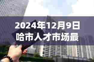 探秘哈市小巷深处隐藏宝藏,最新招聘与特色小店奇遇记 2024年哈市人才市场深度解析
