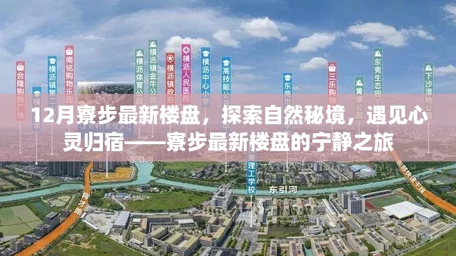 12月寮步最新楼盘，探索自然秘境，遇见心灵归宿——寮步最新楼盘的宁静之旅