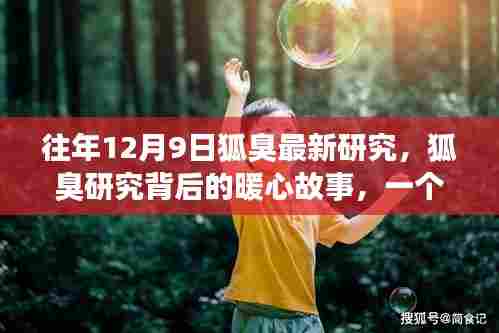 往年12月9日狐臭研究的暖心故事,友情、爱与陪伴的温馨日常探索
