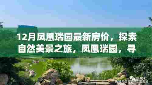凤凰瑞园最新房价揭秘，自然美景与心灵宁静的双重体验